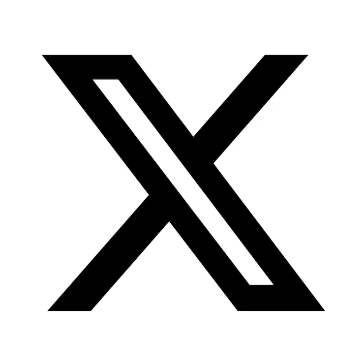 The X (formerly Twitter) logo